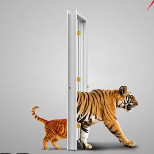 New Product
